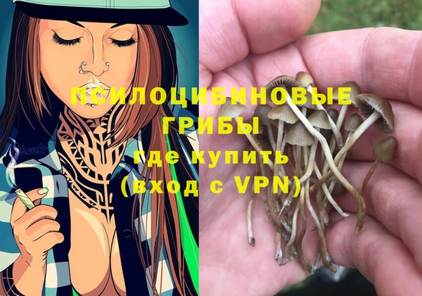 мяу мяу мука Алзамай
