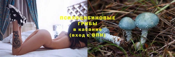 каннабис Алексин