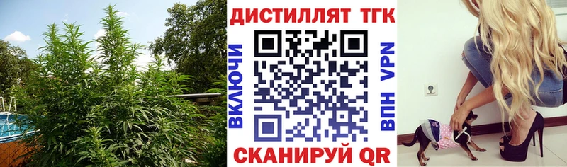 darknet состав Чухлома ТГК жижа