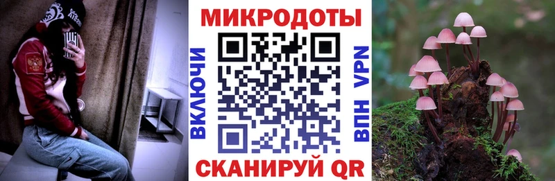 Псилоцибиновые грибы Magic Shrooms где продают наркотики omg зеркало Чухлома